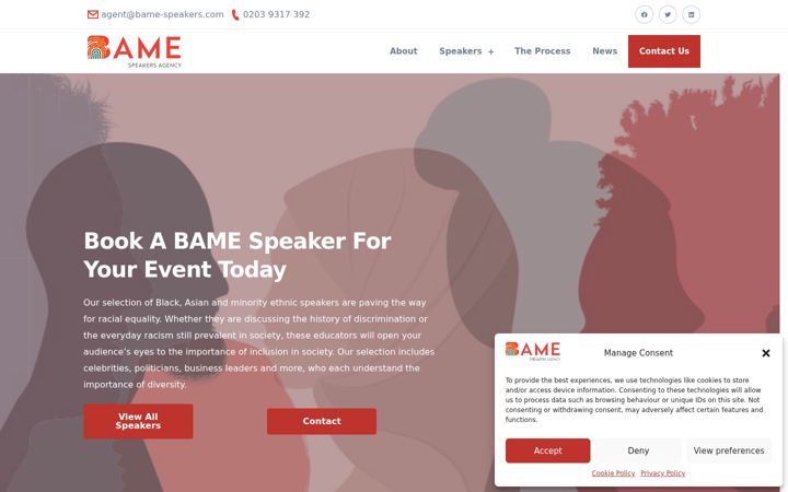 Screenshot of bame-speakers.com