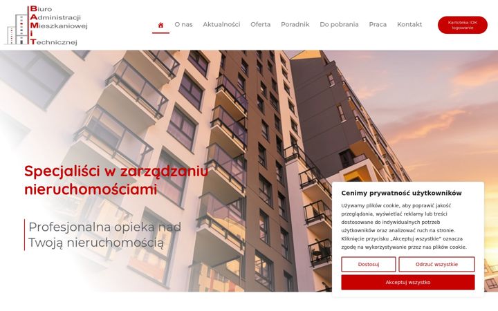 Screenshot of bamit.com.pl