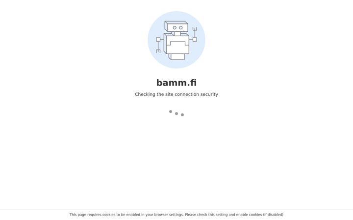 Captură de ecran a bamm.fi