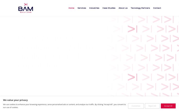 Screenshot of bamsolutions.ca