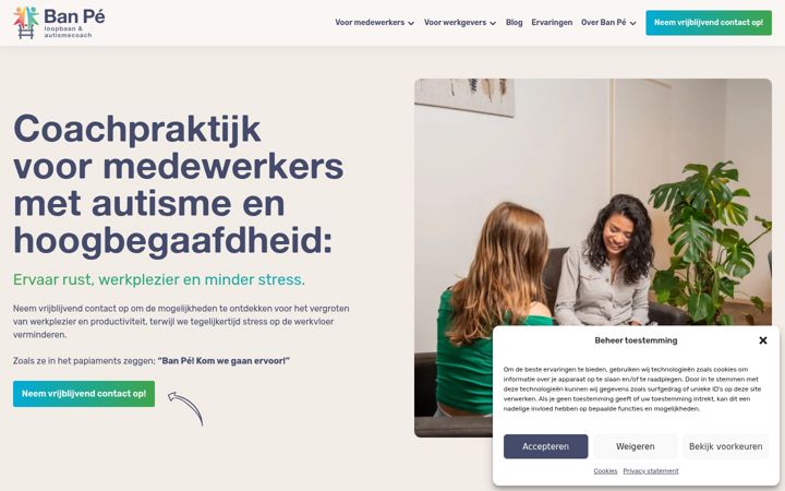 Screenshot von ban-pe.nl
