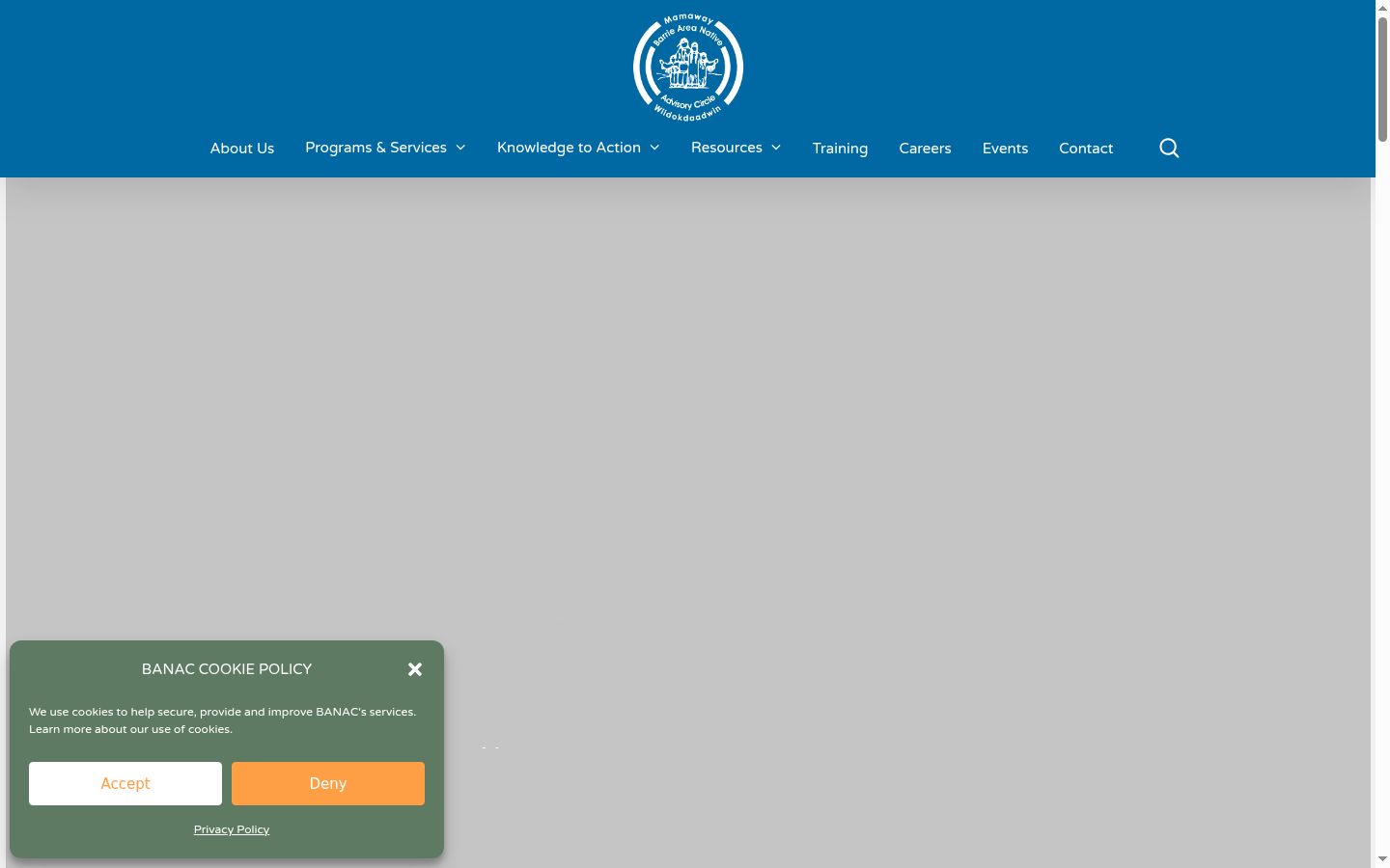 Screenshot of the consent banner shown before any interaction