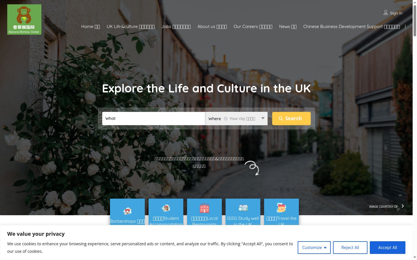 Screenshot of the consent banner shown before any interaction