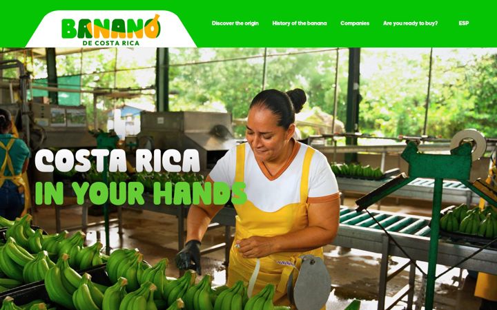 Screenshot of bananaofcostarica.com