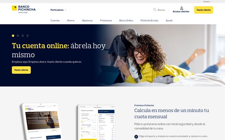 Skjámynd af bancopichincha.es
