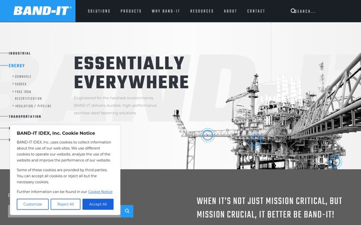 Screenshot of band-it-idex.com
