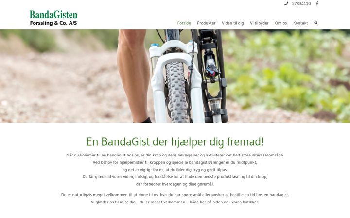 Ekraanipilt saidist bandagisten.dk