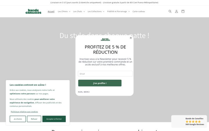 Screenshot of bande-de-canailles.com