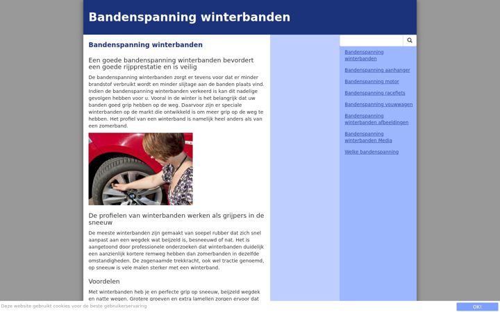 Screenshot of bandenspanningwinterbanden.nl