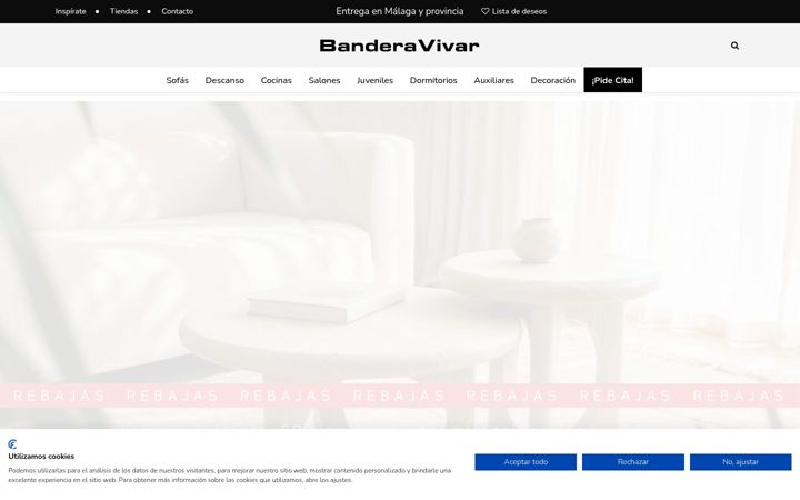 Screenshot of banderavivar.com