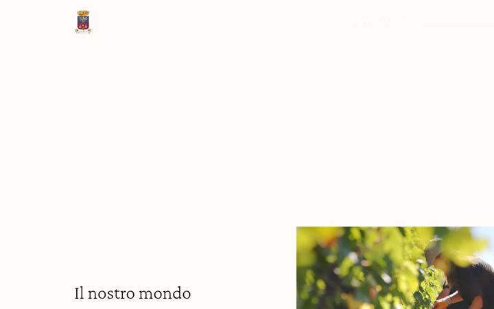 Screenshot of banfi.it