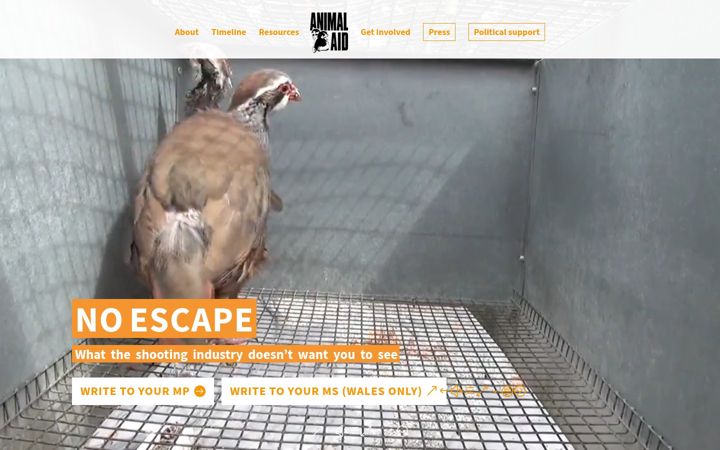 Screenshot von bangamebirdcages.org.uk