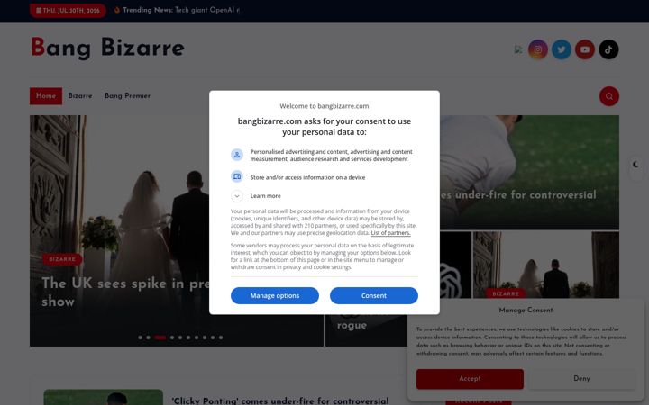Screenshot of bangbizarre.com