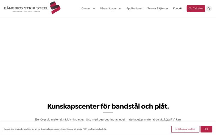 Zrzut ekranu bangbrostripsteel.se