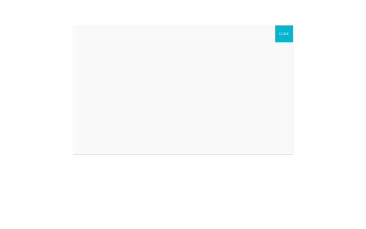 Screenshot of bangkokflightservices.com