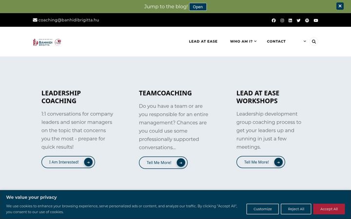 Screenshot of banhidibrigitta.com