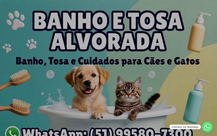 Screenshot of banhoetosaalvorada.com