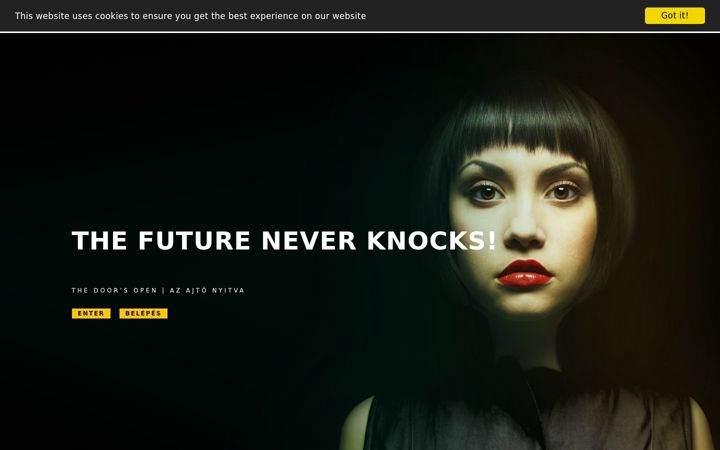Screenshot of bannercasting.hu