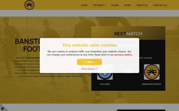 Screenshot of bansteadathleticfc.co.uk