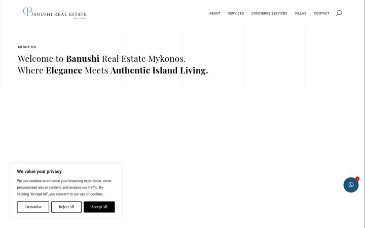 Screenshot of banushirealestate.com