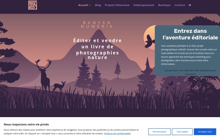 Zrzut ekranu banyan-numerik.fr