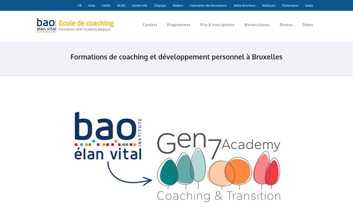 Screenshot of baogroup-be.com
