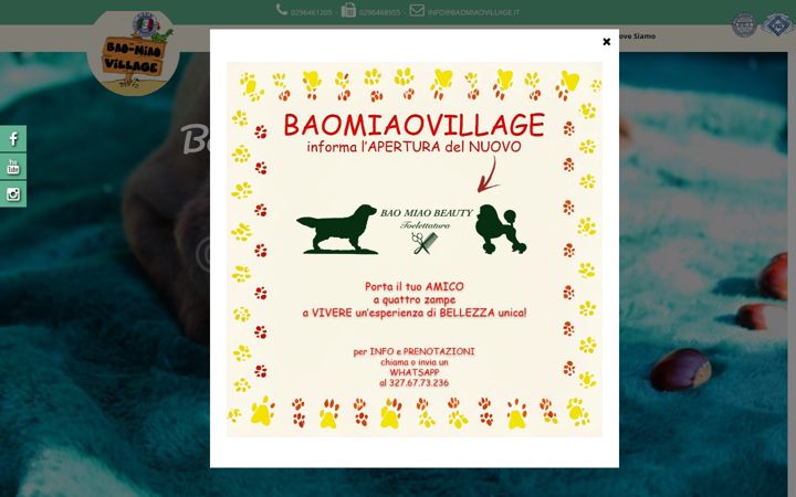 Screenshot of baomiaovillage.it