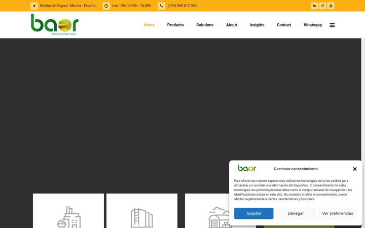 Screenshot of baorproducts.com