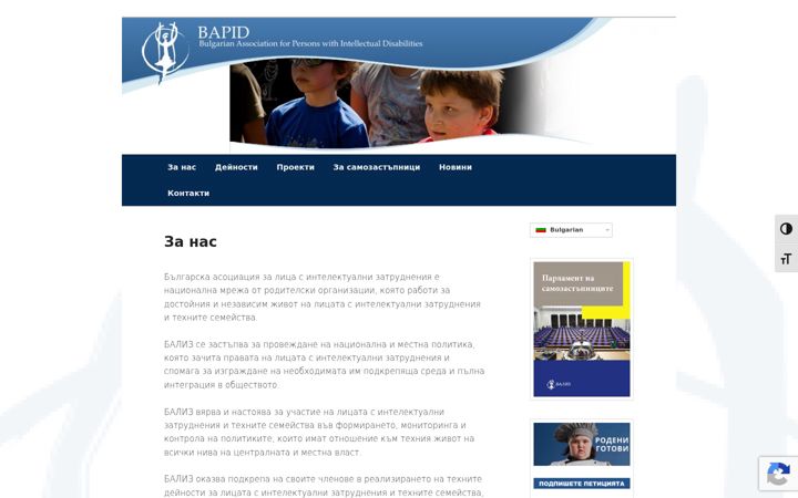 Screenshot of bapid.com