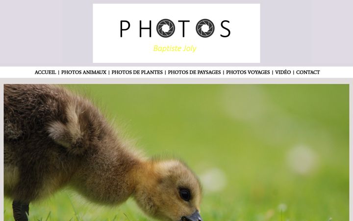 Screenshot of baptistejolyphoto.com