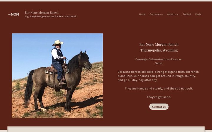 Screenshot of bar-non.net