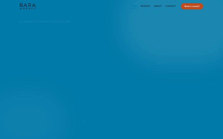 Screenshot of baraagency.com