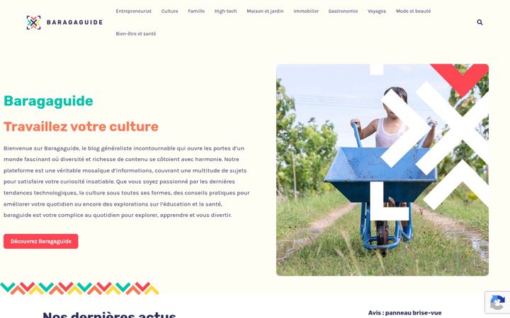 Screenshot di baragaguide.com