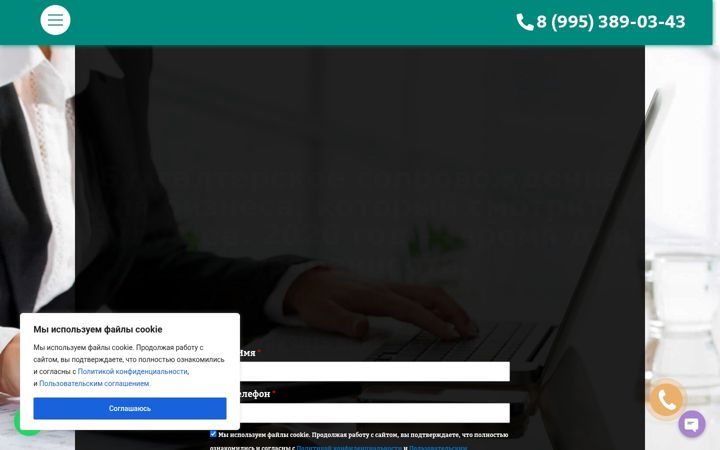 Screenshot of baranova-biznes.ru