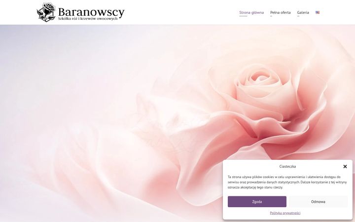 Snimka zaslona za baranowscy.com.pl
