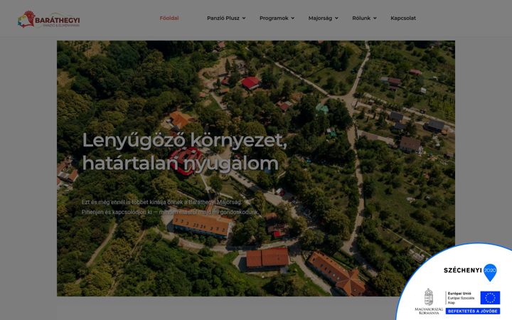 Screenshot of barathegy.com