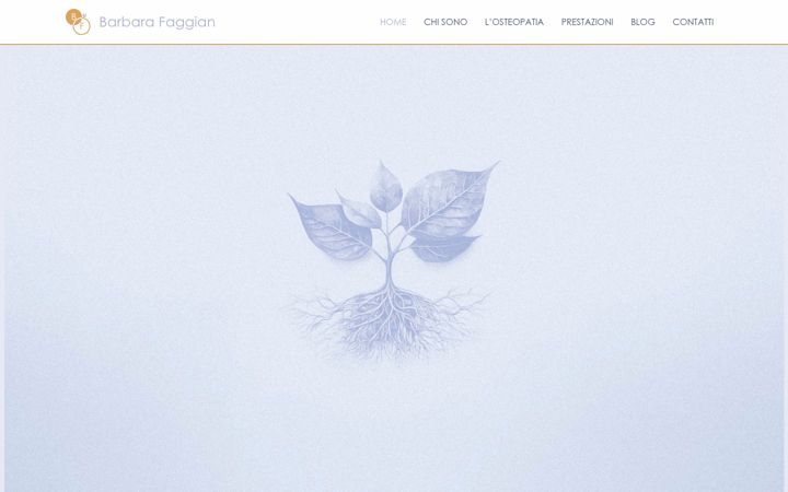 Screenshot of barbarafaggian.it