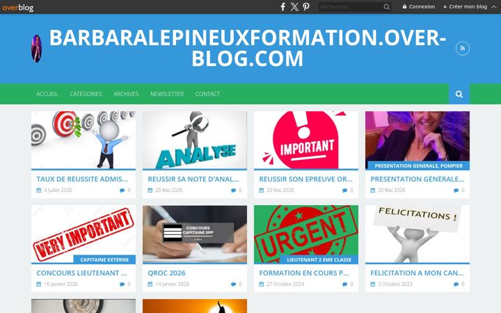Screenshot of barbaralepineuxformatrice.com