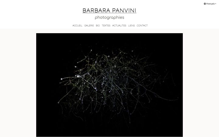 Screenshot of barbarapanvini.com