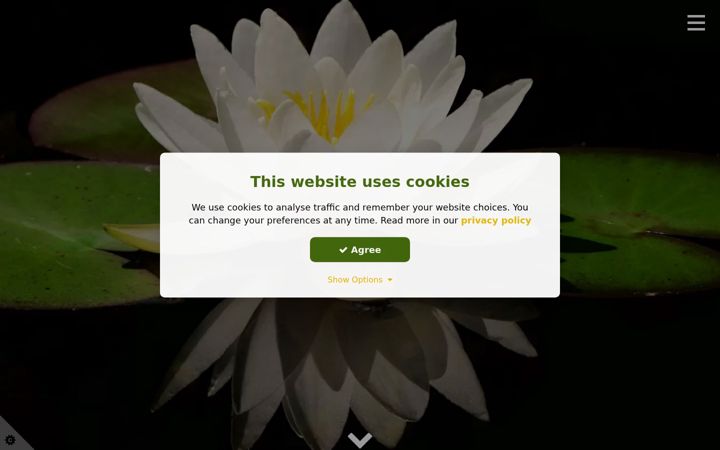 Screenshot of barbarapayman.co.uk