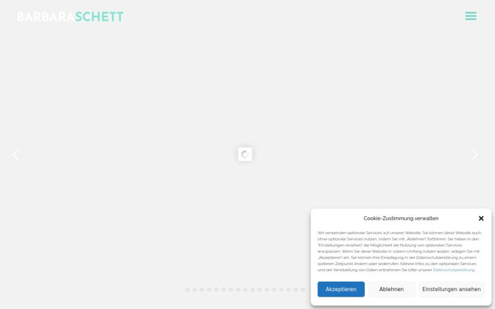 Screenshot of barbaraschett.at