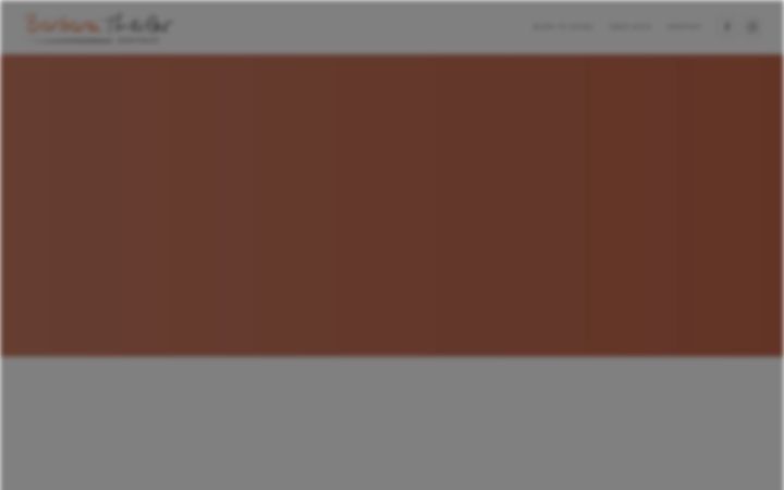 Screenshot of barbaratheiler.com