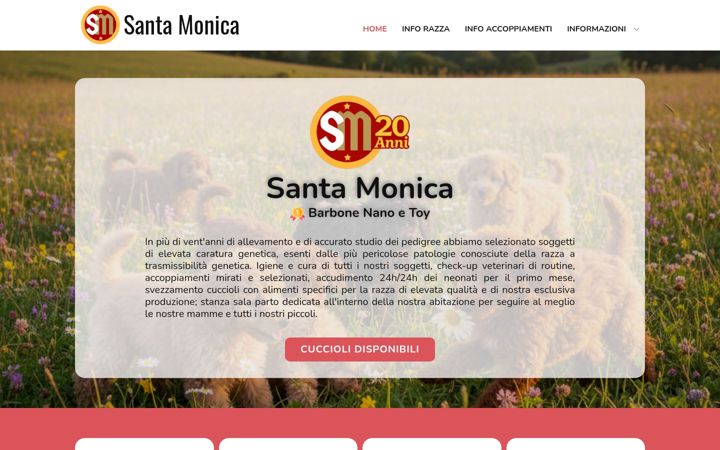 Screenshot of barboncino.eu