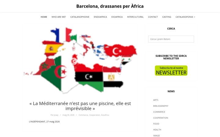 Screenshot of barcelona-drassanes-per-africa.org