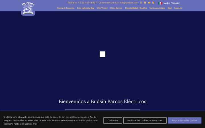 Screenshot of barcoselectricos.mx