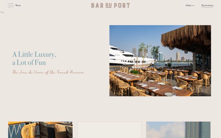 Screenshot of barduportdubai.com