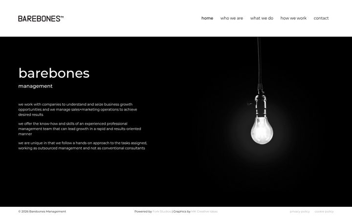 Screenshot of barebones-mgt.com