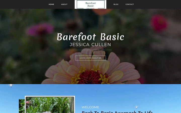 Screenshot of barefootbasic.com