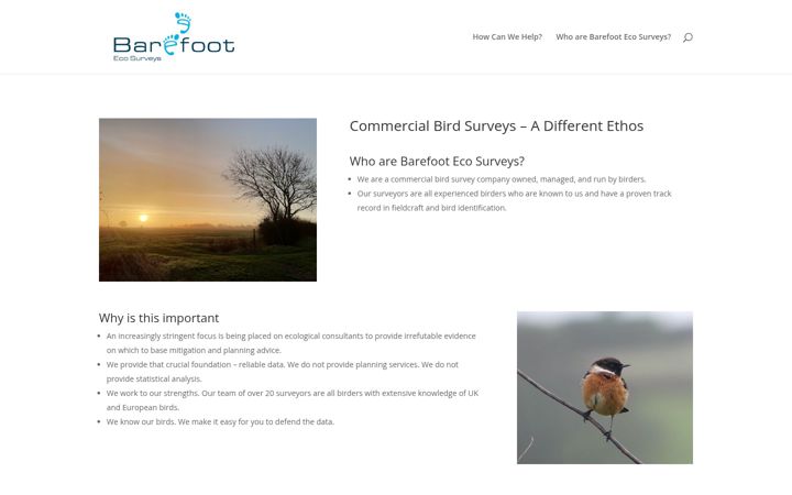 Screenshot of barefootms.com