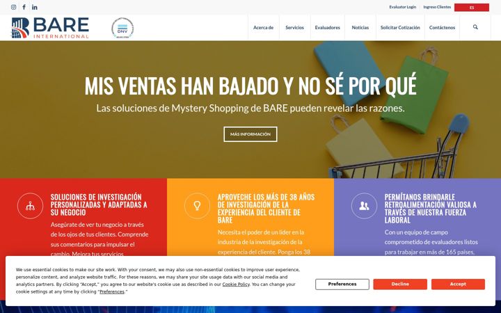 Screenshot of bareinternational.cl